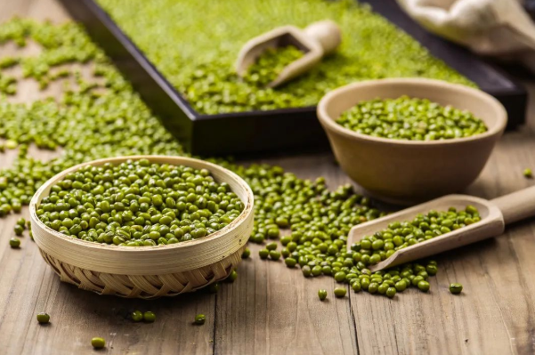 Mung bean protein