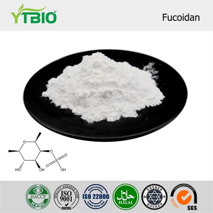 info-1-1 Fucoidan Powder