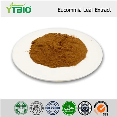 Extrakt z listov Eucommia